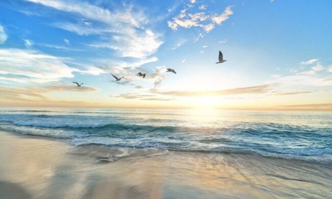 η θάλασσα κάνει καλό η θάλασσα κάνει καλό